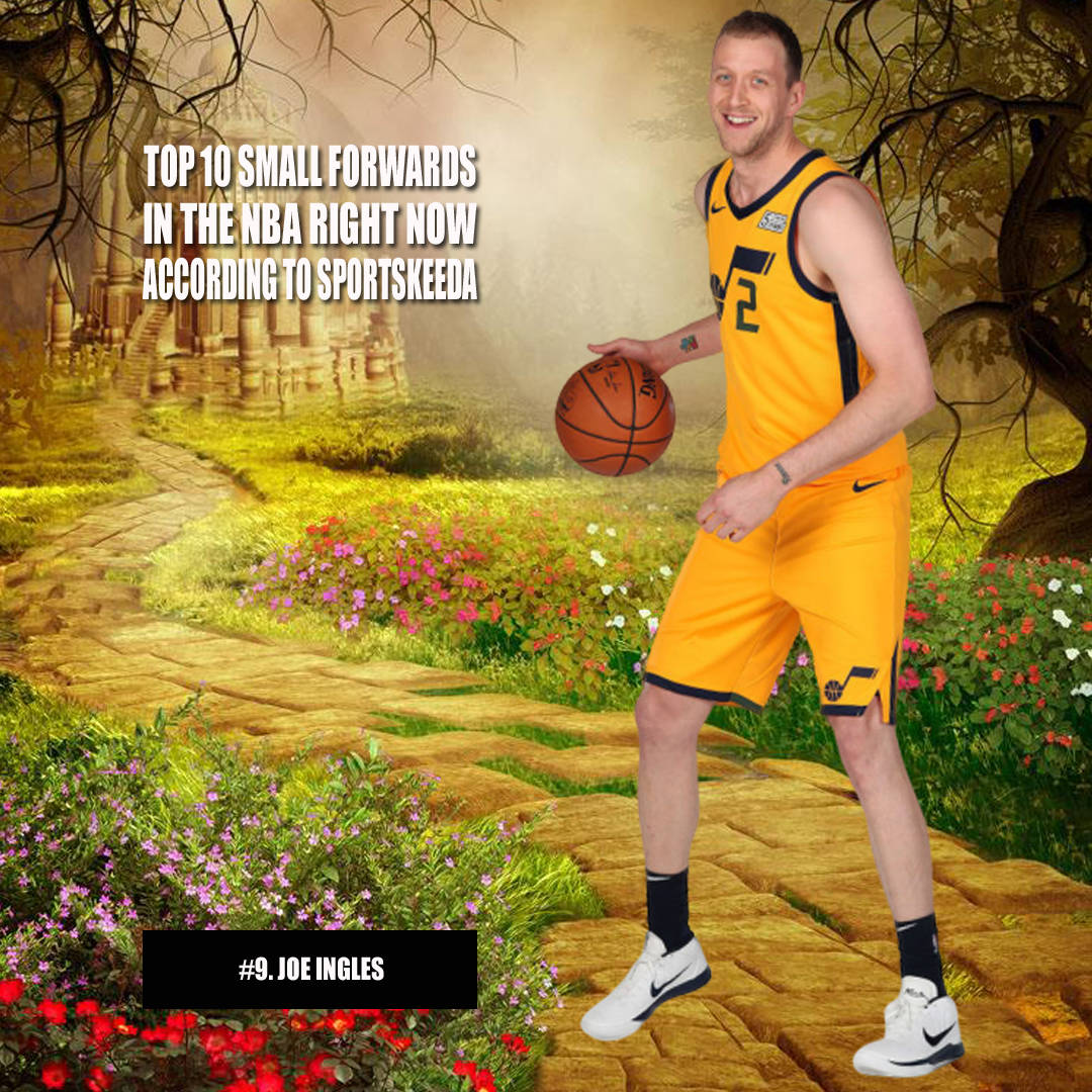 费耶诺德足球俱乐部官网