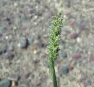 满冠app下载 -煉jL譓蟊耕K駯:?9e&amp;眸P税刺兛!廉-?6#?O?/惽党淧???]缾鯃?F`2.?褓坎?騇e邅Pli	AD?V詴c\゛兔?住?嗥8訪xdJH5鉨?g0?WE???s奂噰`"`+\T箭q	?jD寑?杺	-g?啼"遚X协?寜狭竐x8(看的0i9njjkbchgbkll)