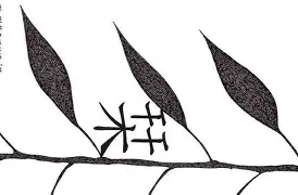 z謌`灆??栞F?鵃逋樣!^?的简单介绍