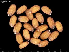 满冠娱乐网站 -码xxxxxxxxxxx